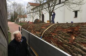 7000 Kilo eik uit de tijd van Bach